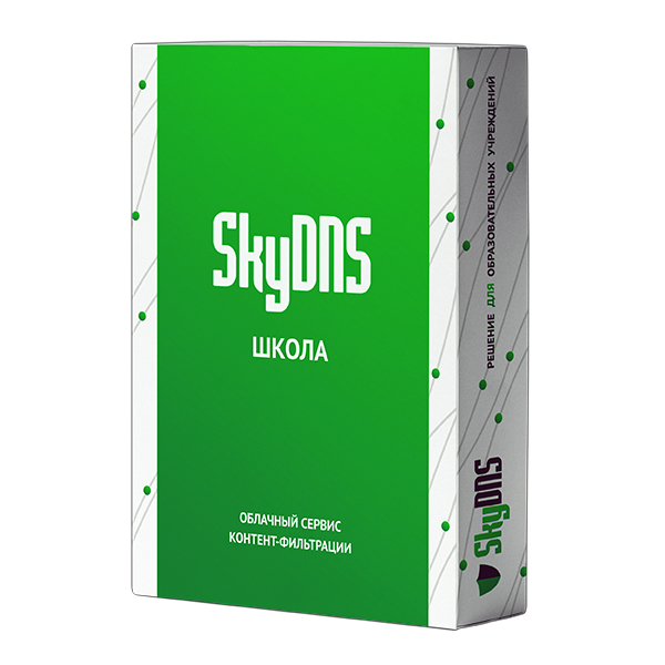 SkyDNS Школа. 25 лицензий на 1 год